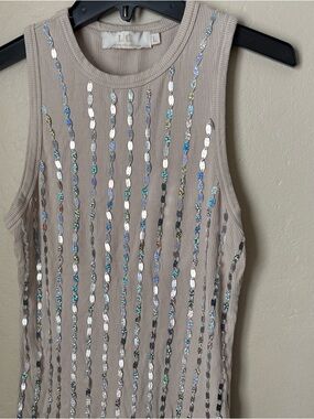 Sequin Stripe Ribbed Tank - Taupe